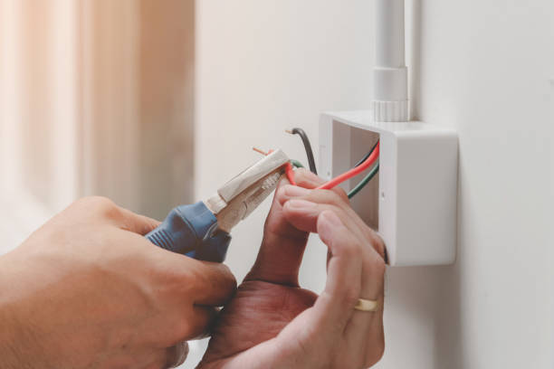 Best Electrical Panel Upgrades  in Lamar, SC